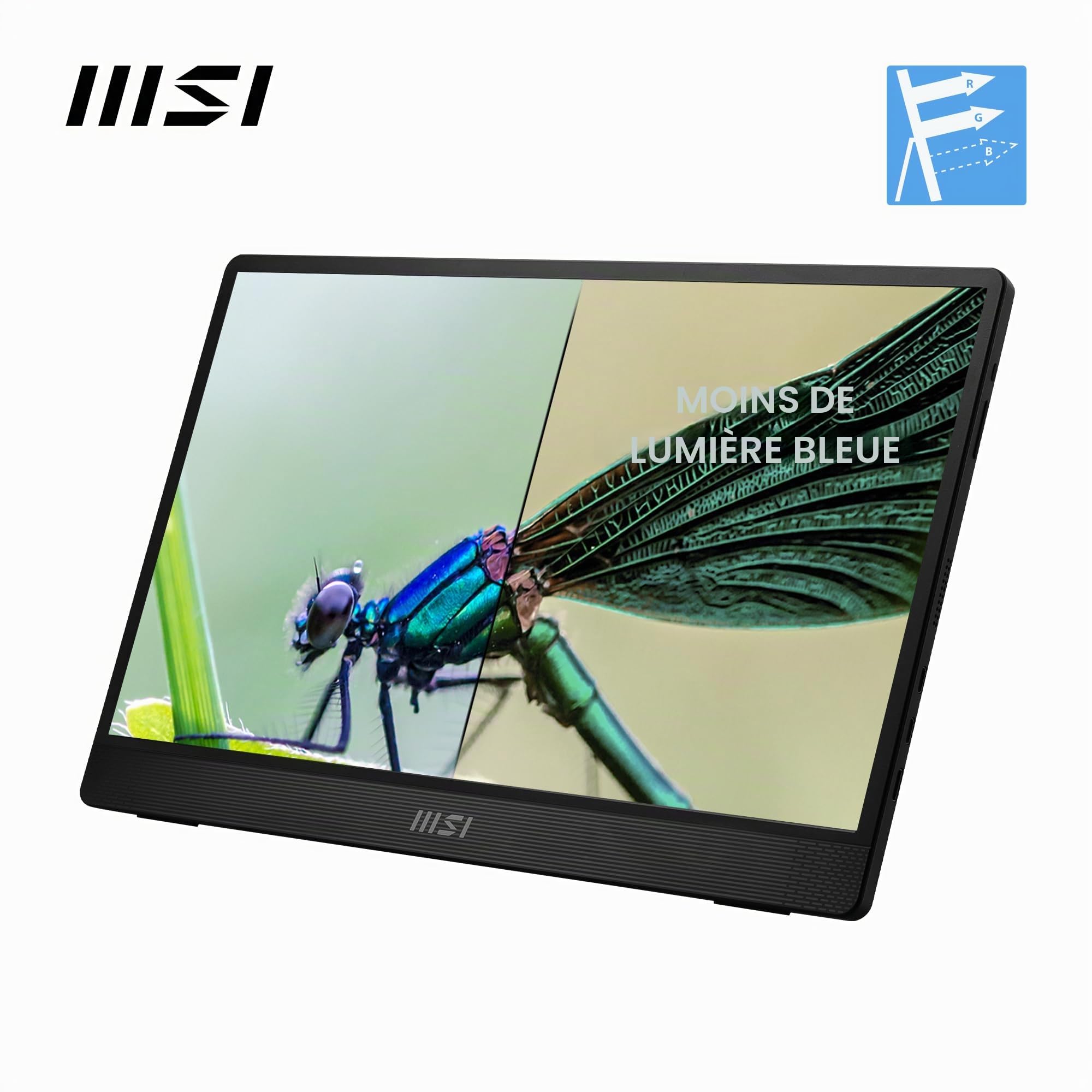 MSI Pro MP161 E2U écran Portable 15,6" Full HD - Dalle IPS 1920 x 1080, 60 Hz, 4 ms, écran respectueux des Yeux (PC, Portable, Mobile), HP intégrés - Mini-HDMI 2.0b, 2 x USB Type-C