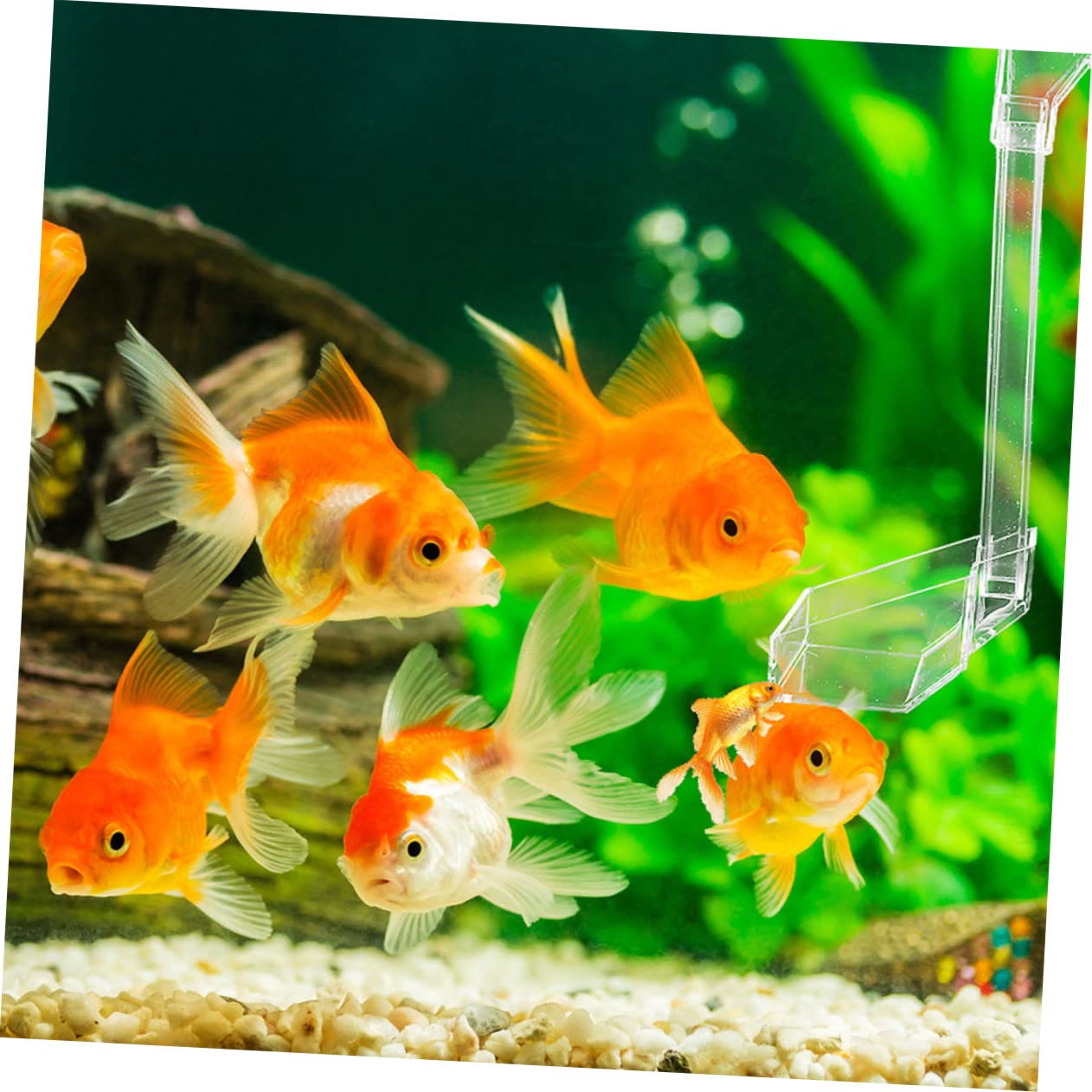 Kisangel 2piezas Alimentador De Acuario Colgante para Camarones Dispositivo De Alimentación Práctico para Peces y Camarones Tanques De Acuario