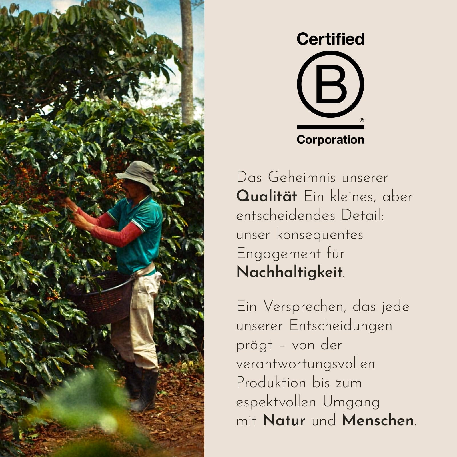 illy, Kaffee in Kompatiblen Kapseln CLASSICO Lungo, 100 Kapseln Insgesamt | Aus Aluminium, 100 % Arabica mit Noten von Orangenblüte und Jasmin, süßer Geschmack, 10 Packungen mit je 10 Stück