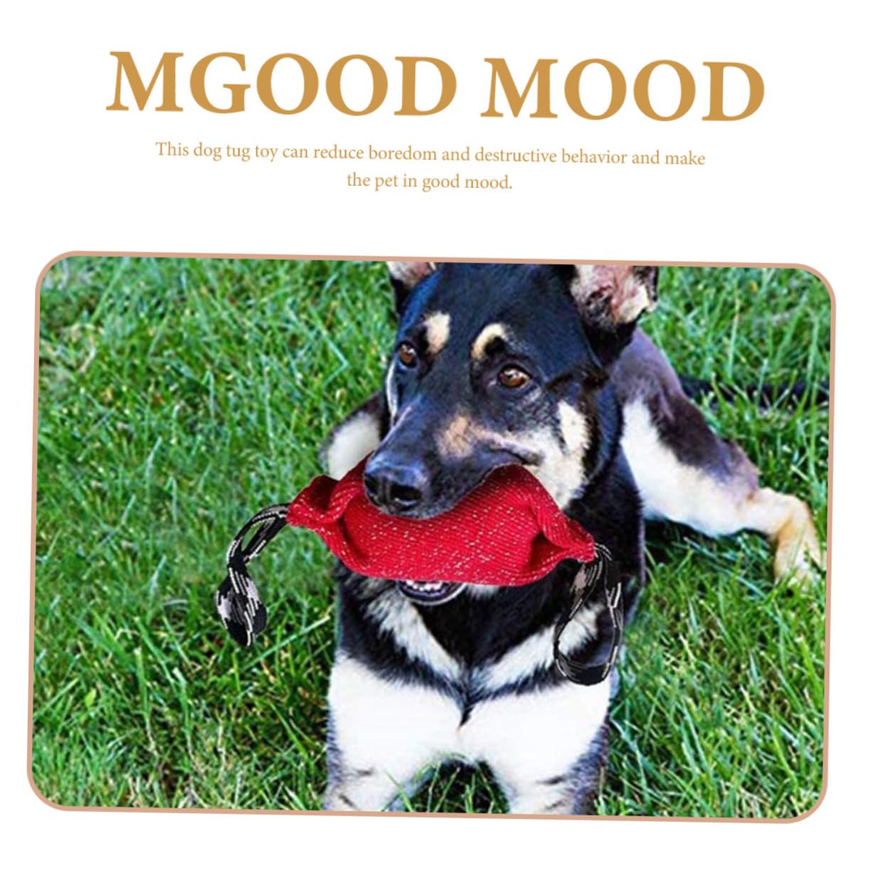 Kisangel 2piezas Pillow De Molar para Perros Juguete Interactivo De Tirar Resistente y Duradero Entrenamiento De Agilidad Canina para Cachorros y Perros Pequeños