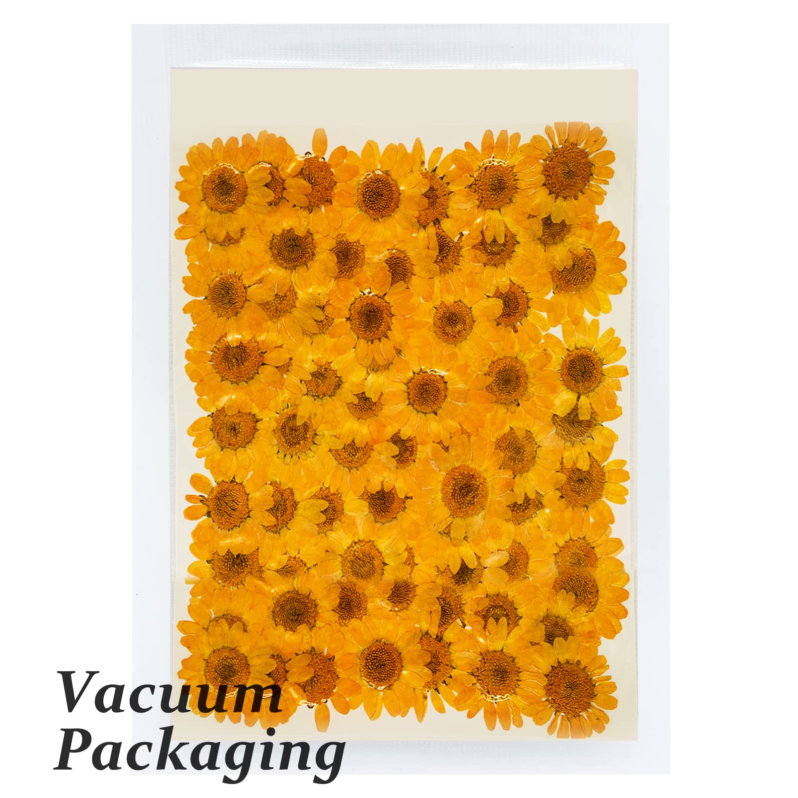 Amazon.co.jp: HEISENLIN ドライ押し花 60個 オレンジ 天然 リアル