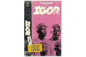 Immerse into the Goblin World: Unframed Tyler, The Creator Poster