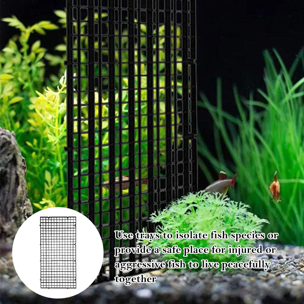 Aquarium Trennwand Set Acryl - Mit Saugnäpfen 30x25cm