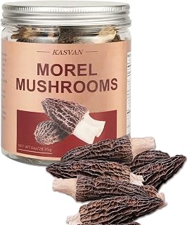 KASVAN Wild Dried Morel Mushrooms Morchella Conica 1oz - Tender, Nutrient-Rich Dehydrated Morels for Stir-Fries & Soups