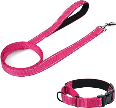 4FT x 3/4" Dog Leash and Collar Set, Reflective Neoprene Martingale Collar 10-12", Hot Pink