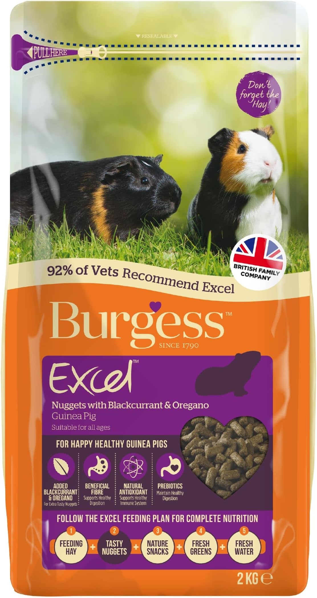 Excel Burgess Guinea Pig Nuggets Blackcurrant and Oregano, 2 kg