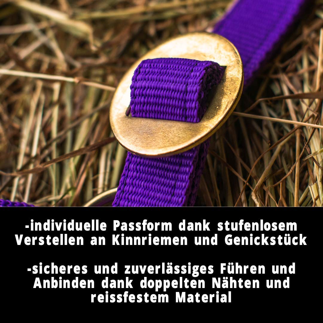 Cavezza per puledro Cavezza per mini Shetty Cavezza per cavallo di legno - Cavezza per puledro regolabile in 2 modi su sottogola e nuca (viola, puledro)