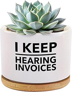 I Keep Hearing Invoices Accountant Gifts for Accounting Student Graduation Gifts CPA Bookkeeper Ceramic Succulent Plant Pot with Bamboo Tray Round Home Office Decor 3.5 Inch White (No Plants)