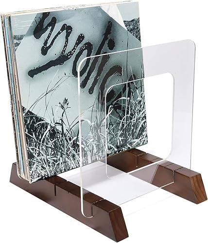 BADALU Soporte de almacenamiento de discos de vinilo extraíble con diseño de ranura profunda antideslizante, almacena y sostiene hasta 60 álbumes,