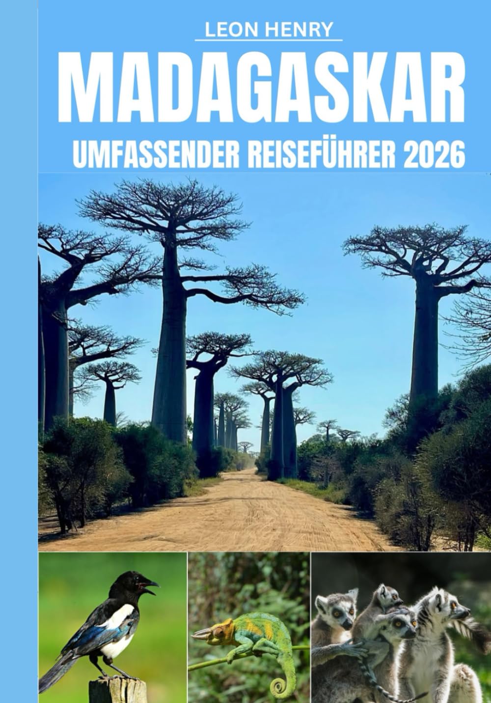 MADAGASKAR UMFASSENDER REISEFÜHRER 2026