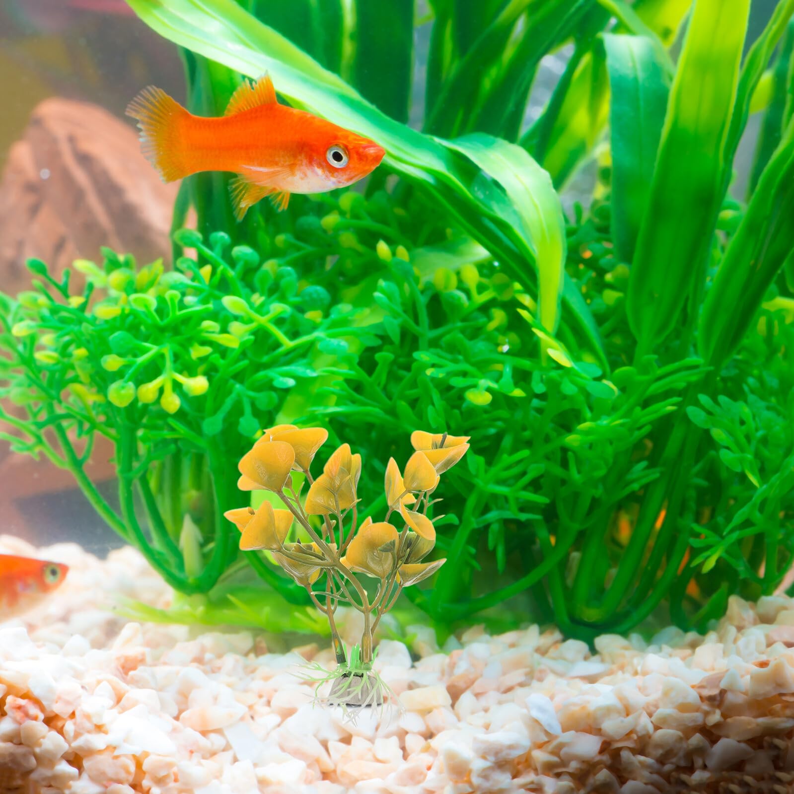 Mikikit 50 Piezas Accesorios De Peces Plantas De Simulación De Acuario Plantas Artificiales para Peceras Pecera De Simulación