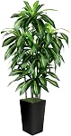 Artificial Dracaena Tree Indoor, 5FT Tall Fake Tree with White Tall Planter, Artificial Tree Fake Yucca Potted Tree for Home Office Living Room Decor, Tall Artificial Plant for Housewarming