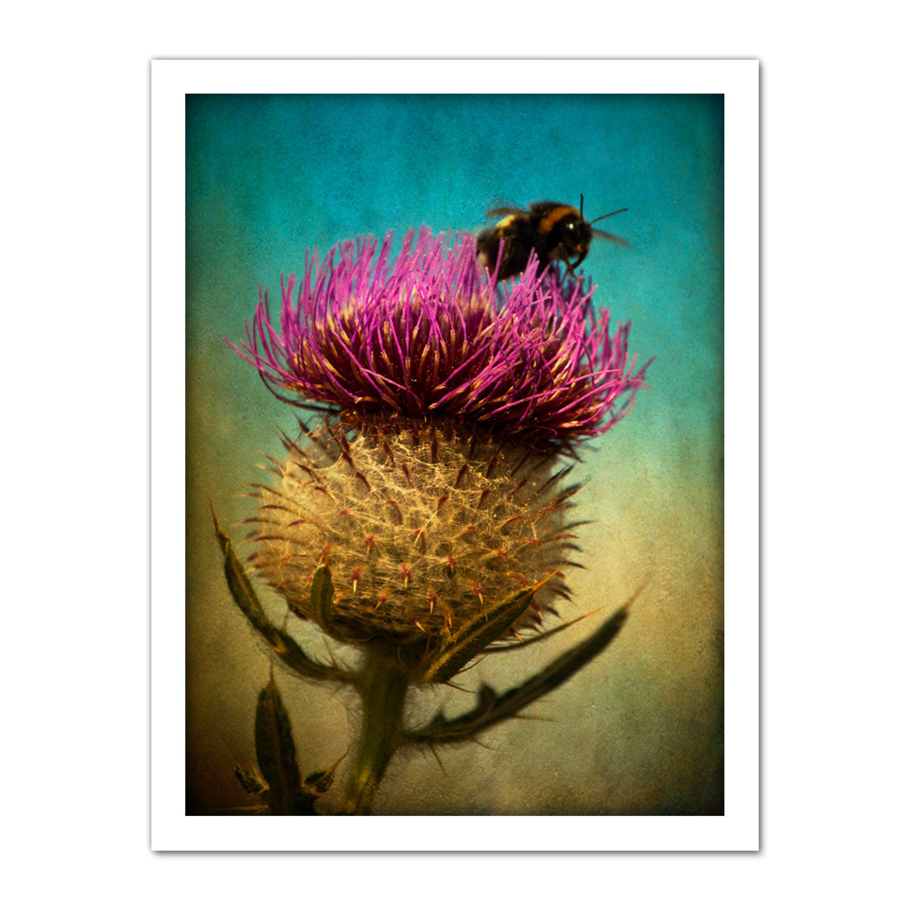 Wee Blue Coo Bumble Bee and Thistle Artwork Framed Wall Art Print 18X24 Inch