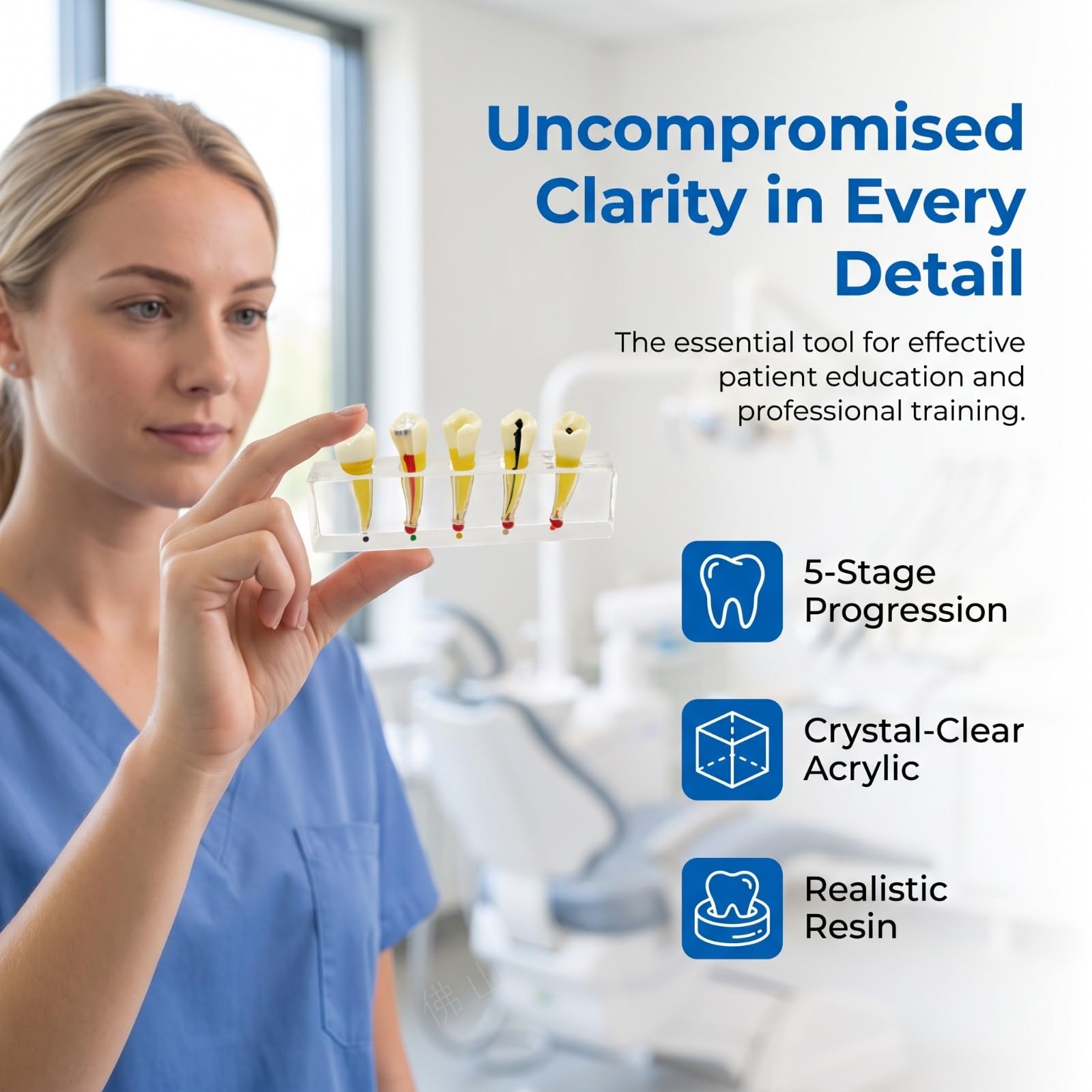 Modèle d'implant dentaire pour l'éducation du patient, modèle de traitement endodontique/démonstration d'anatomie canalaire, modèles de dents pédagogiques pour la démonstration