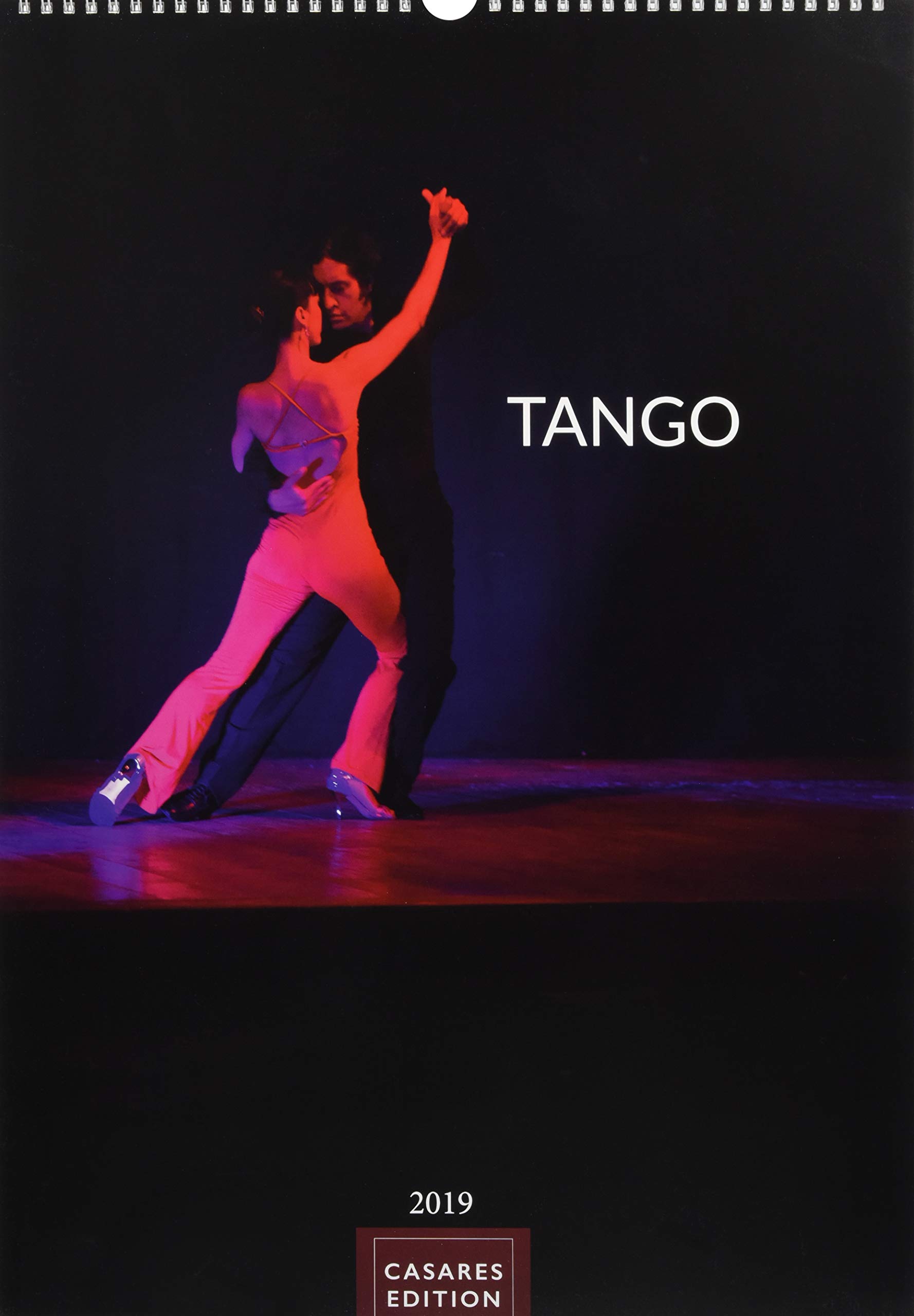 Tango 2019 aile kitesurf occasion vent fort polyvalente