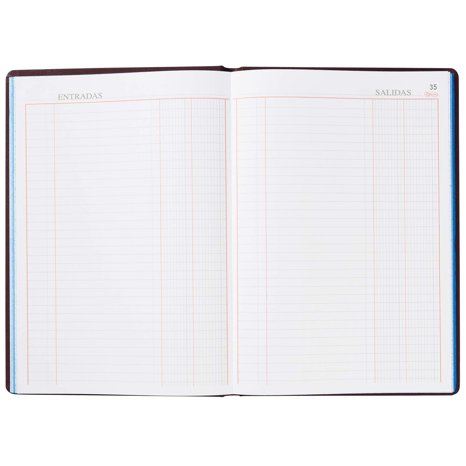 Miquelrius - Libro de Contabilidad, Clase R, Folio Natural 220 x 315 mm, Rayado Caja (M.D. con entradas y salidas), 100 Hojas de 102 g/m², Forrado en Tela, Lomo Engomado