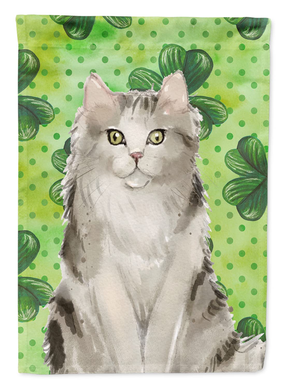 Drapeau Ragamuffin Shamrock Caroline's Treasures pour maison