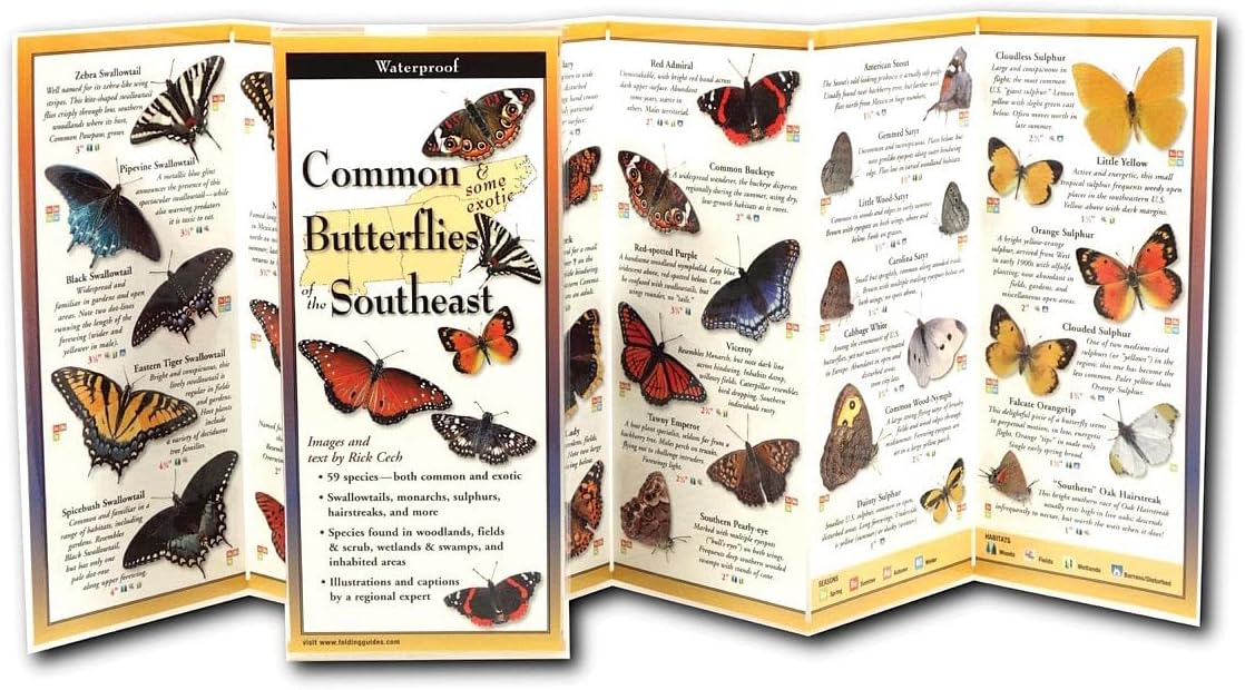 Common Butterflies of the Southeast (Foldingguides)