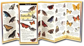 Common Butterflies of the Southeast (Foldingguides)