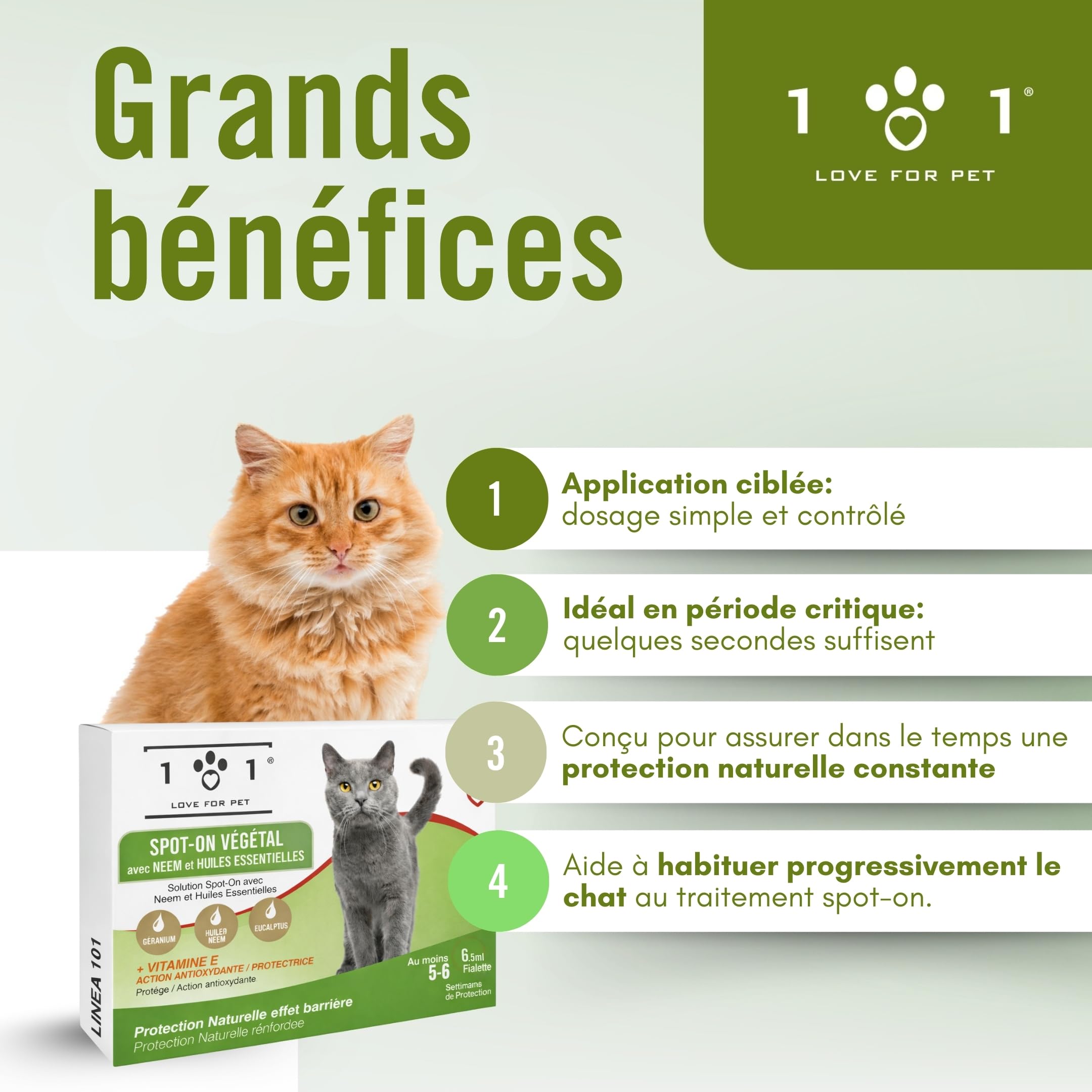 Pipette Chat Anti Puces et Tiques, Moustique 6 Ampoules de 0,5 ML Spot on Chatons et Adultes Traitement Anti Puce Chaton et Antiparasitaire Chat Naturel Application Facile, Longue Tenue Antipuce