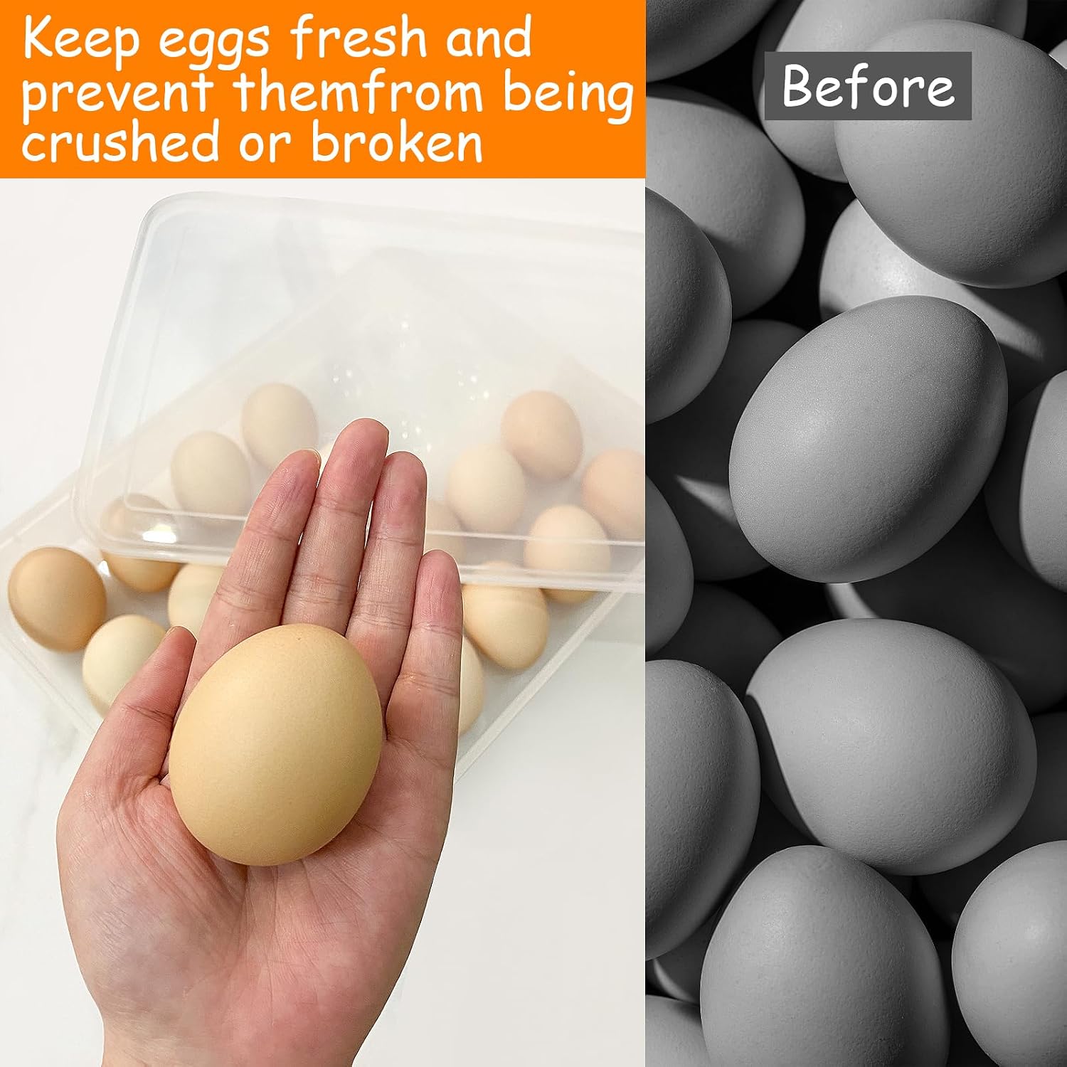 Egg Storage Container