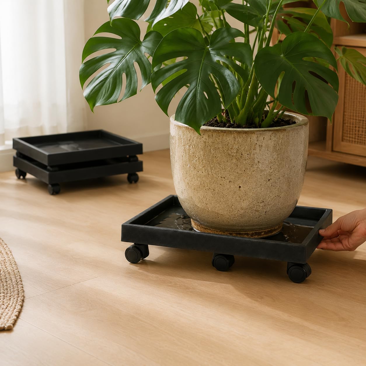 Pflanzencaddy, Pflanzenuntsetz, Rechteckig Rollen 44.7cm