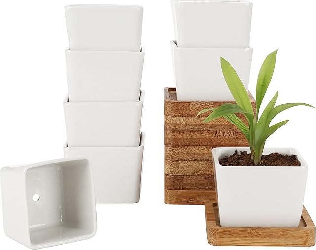 BELLE VOUS White Mini Ceramic Succulent Plant Pots with Bamboo Trays (8 Pack) - Small Square Cactus & Flower Planter Pot Set with Drainage Holes - For Office, Desk, Indoor Table & Outdoor Garden