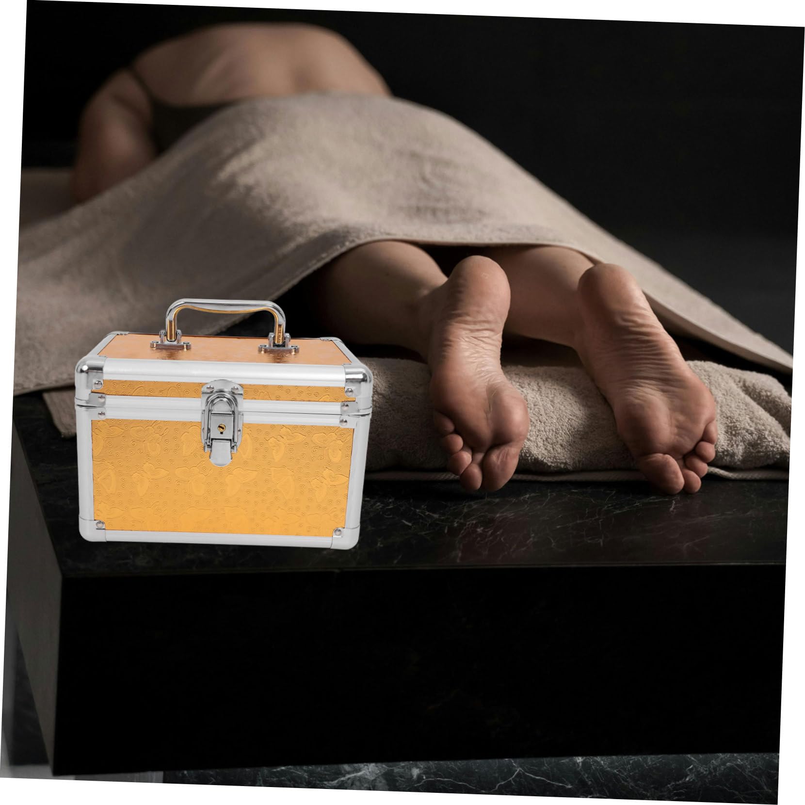 Healeved Box Cosmetic Pouches Waterproof Makeup Brush Case Stationery Handle Tool Makeup Brush Holder Cosmetic Carrying Case Marker Organizer Density Board with Abs on Both Sides Golden