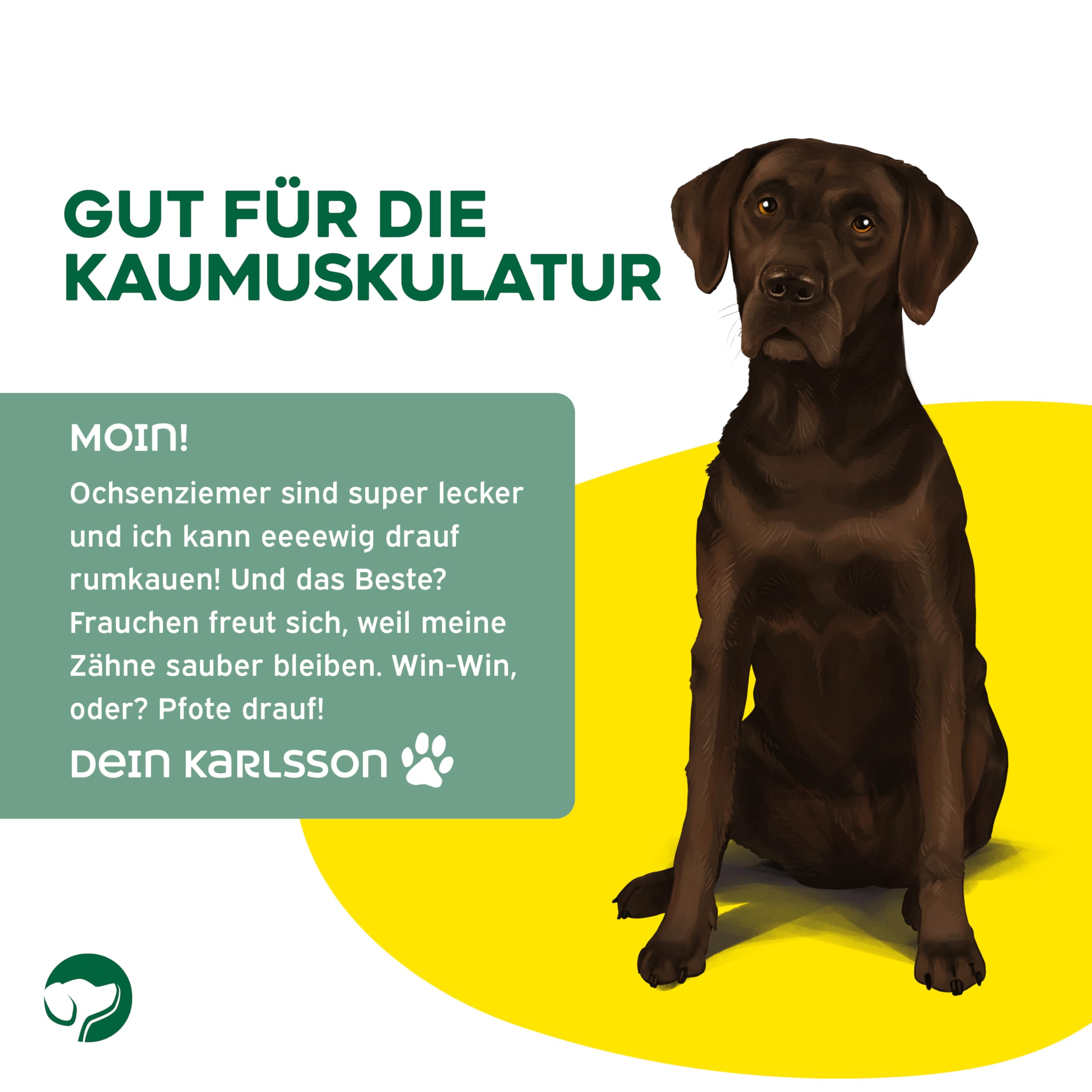 Topdog Ochsenziemer Hund 40 Stück 12 cm - Ochsenziemer für Hunde - 100% natürlich ohne Zusatzstoffe - Langer Kauspaß für Hunde - Beruhigender Beschäftigungsnack mit Zahnpflege