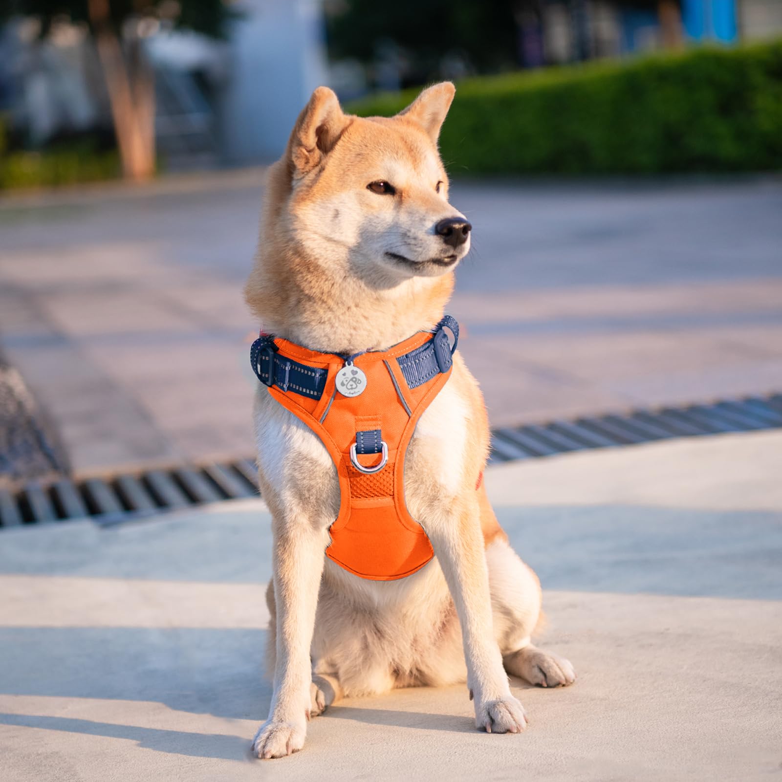 PHOEPET No Pull Hundewestengeschirr, verstellbares, reflektierendes, Nicht erstickendes Haustiergeschirr mit einfach zu bedienendem Griff und Metallklammern für Hunde(Orange Basis & Blaue Träger,S)