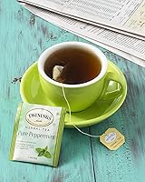 Vista 345 de Twinings Blackcurrant Breeze - Té negro, 6 paquetes de 20 unidades, bolsas de té envueltas individualmente, dulce, sabor picante, con cafeína