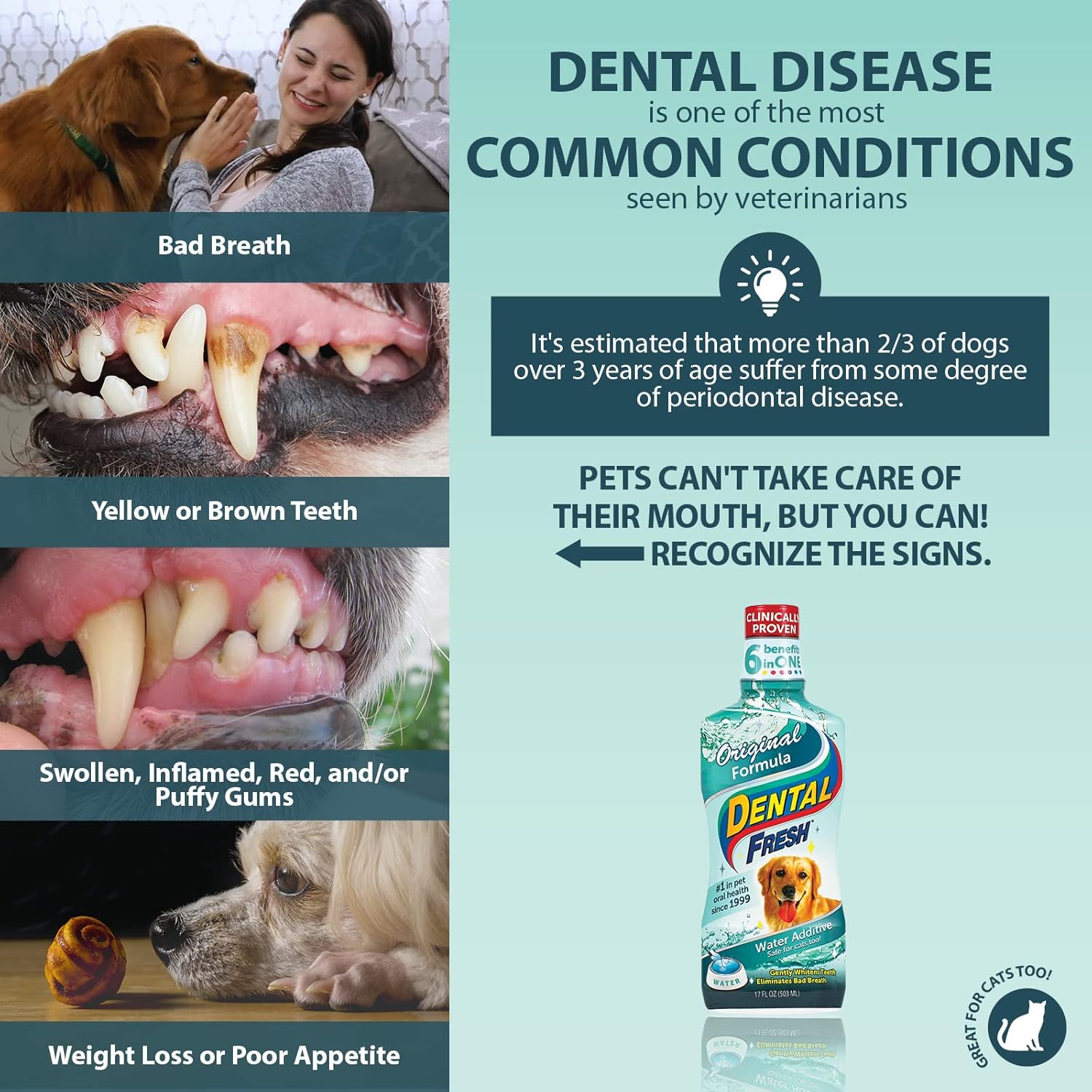 Dental Fresh Water Additive for Dogs, Original Formula, 17 oz – Bad Breath Solution for Dogs – Add to Water Bowl to Help Whiten Teeth, Eliminate Bad Breath – Dog Teeth Cleaning to Improve Oral Health : Pet Dental Care Supplies : Pet Supplies