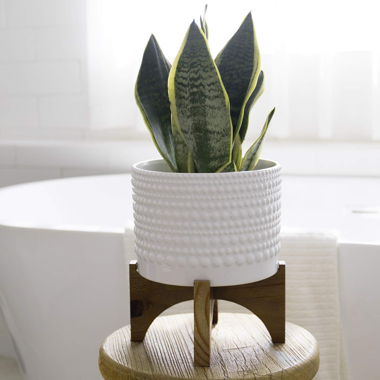 LA Jolie Muse Ceramic Planter with Wood Stand - 8 Inch White Cylinder Embossed Hobnail Patterned Flower Plant Pot Indoor