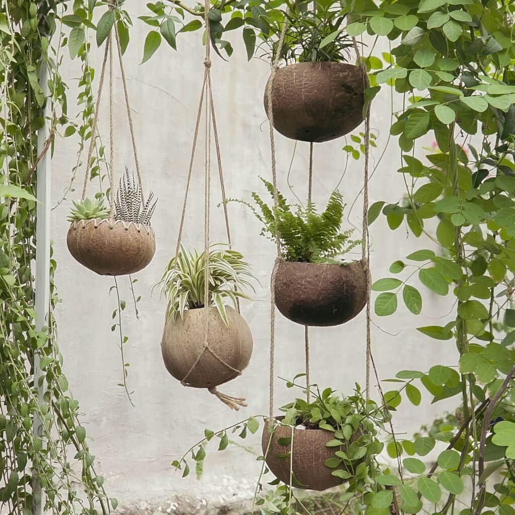 Rainforest Bowls Set of 2 3-Tier Hanging Coconut Planters w/Drainage - Perfect for Succulents, Flowers, Small Plants, Indoor & Outdoor Gardens- Handcarved by Artisans, Eco-Friendly & Sustainable