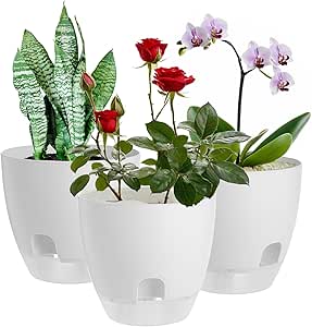 Pots De Fleurs Transparents 15 Cm Avec Plateau : Pour Orchidées, Plantes Grasses, Semis, Drainage Aéré (lot De 10)