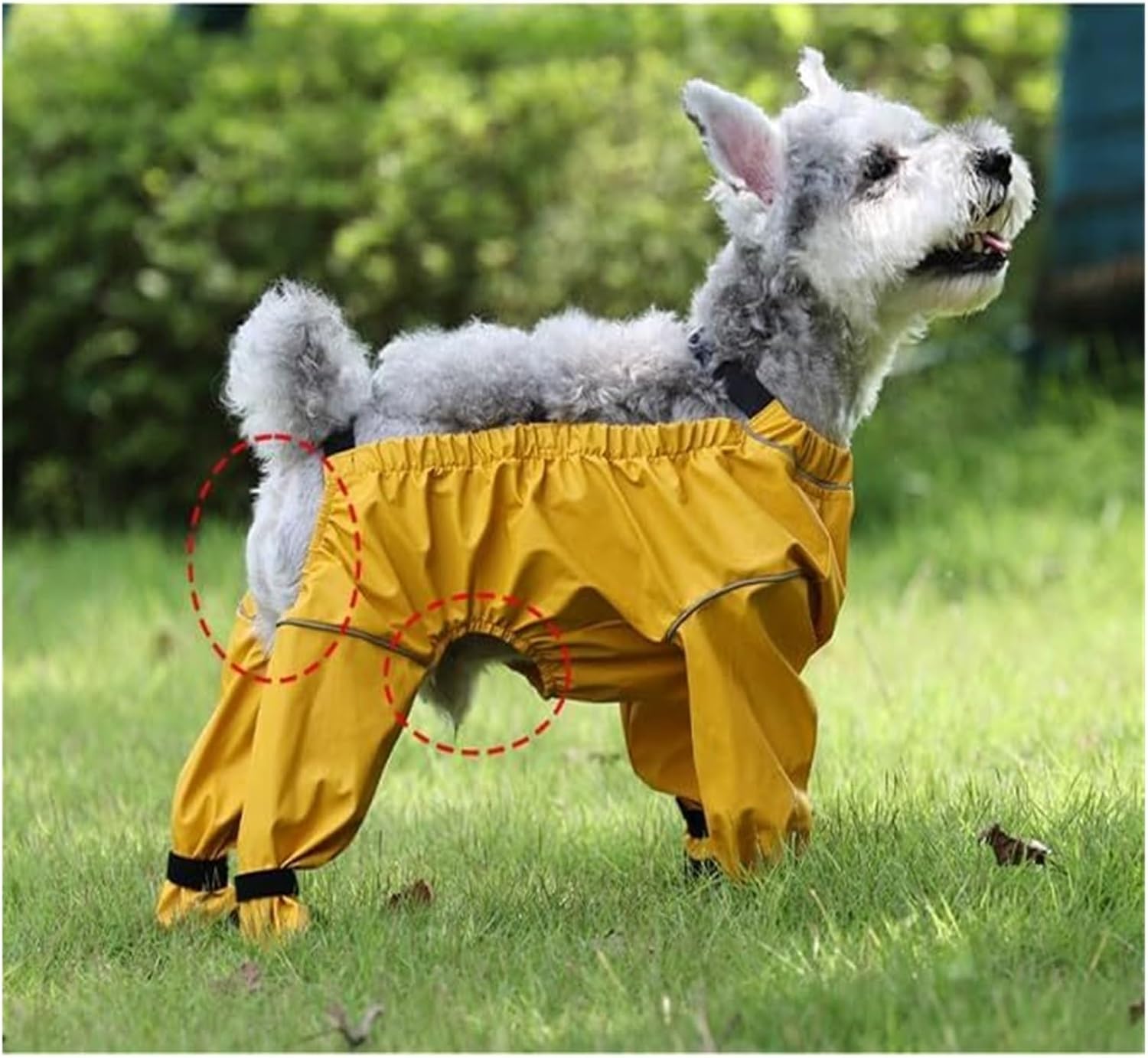 Waterproof Dog Shoes for Outdoor Use, Anti-Slip Dog Booties for Small Medium Large Dogs, All-Season Pet Paw Protectors(Yellow,X-Small)