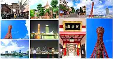 716cDW2M7iL._AC_SY200_QL15_.jpg