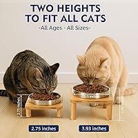Vista 3 de Cuencos elevados para gatos de interior – Soporte elevado de bambú para gatos con platos de acero inoxidable de 5.5 pulgadas de ancho, plato de mesa