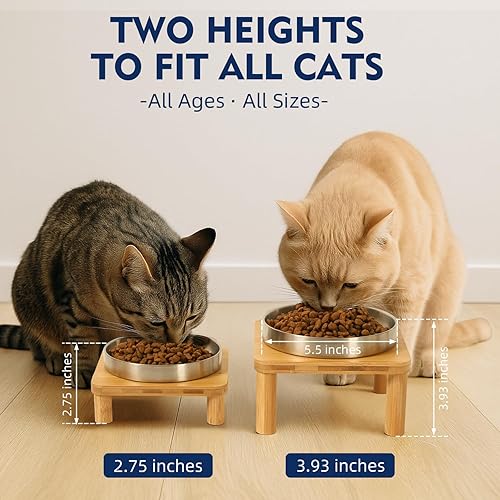 Miniatura 3 de Cuencos elevados para gatos de interior  Soporte elevado de bambú para gatos con platos de acero inoxidable de 5.5 pulgadas de ancho, plato de mesa