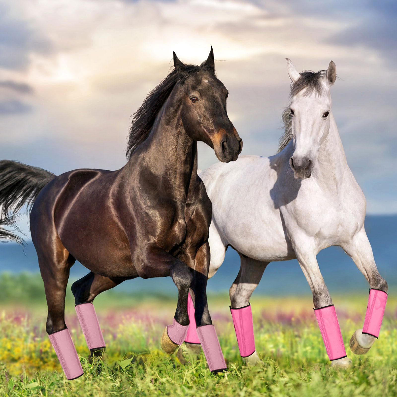 Fliegenstiefel Für Pferde – 12 Stück Set Aus Netzstoff, Atmungsaktiv & Schützt Vor Insekten