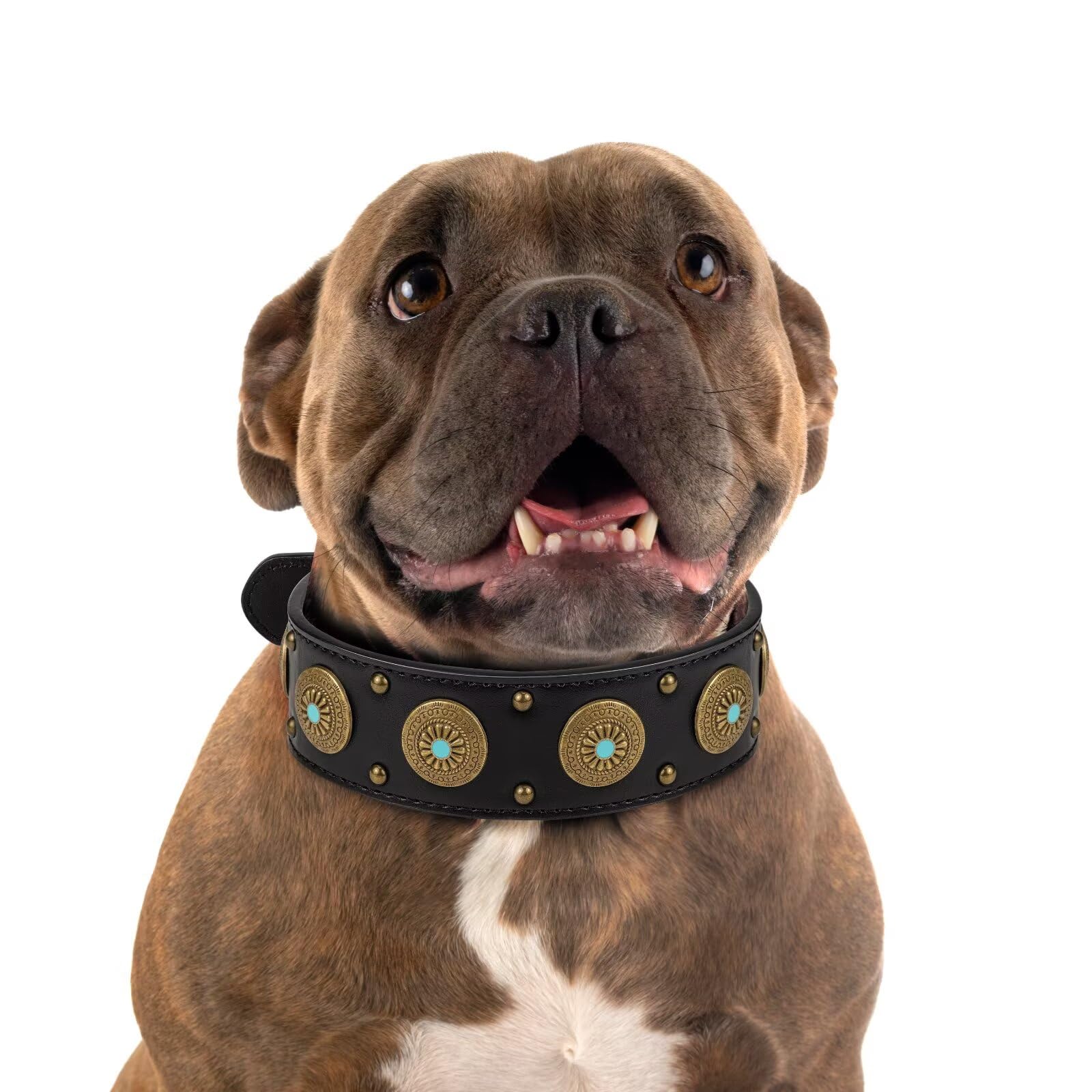 Leather Dog Collars for Small Dogs - Heavy Duty Adjustable, Durable PU Leather Collar for Small, Medium, Large, and Extra Large Dogs - Comfortable Fit