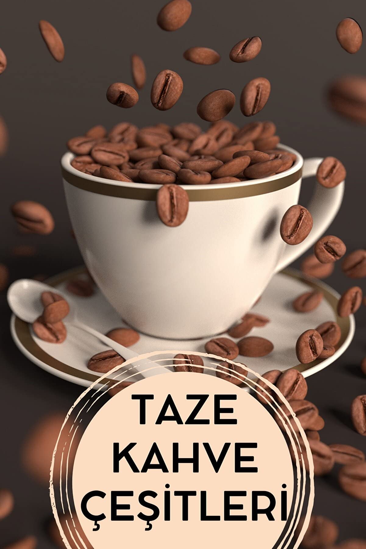 ea e-aktariye Ekinezya 100 Gr