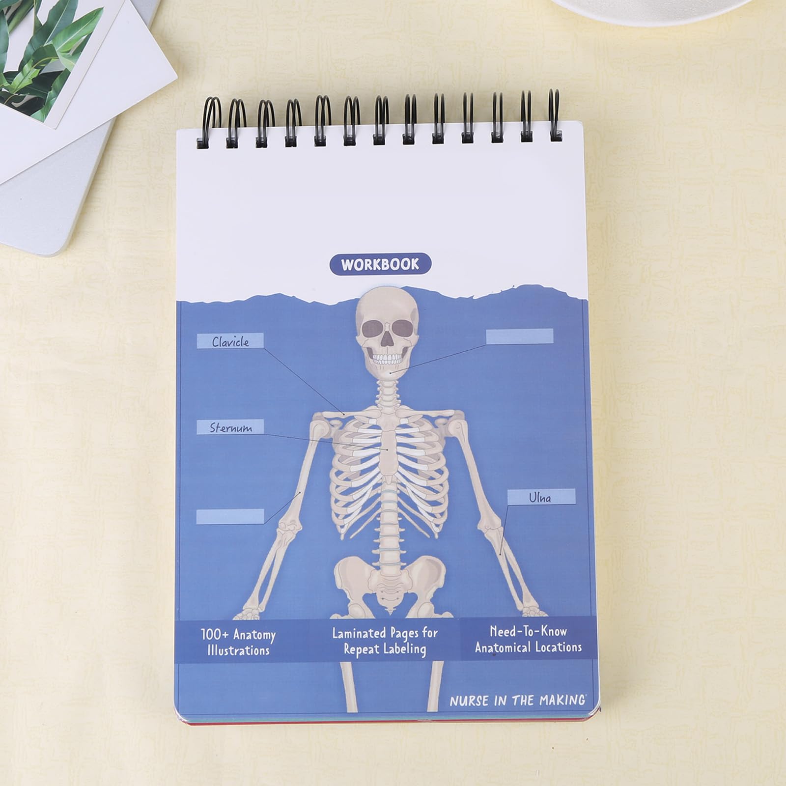 Anatomy Label Lab Workbook GINGER TECH , 100 Full-Color Dry-Erase Pages ...
