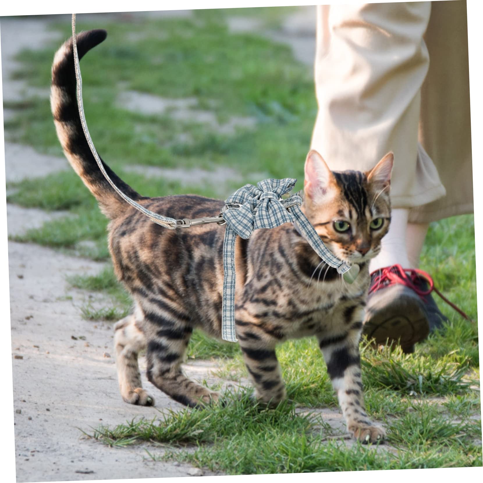 FOMIYES 4 Set Di Guinzagli Per Gatti Regolabili Per Passeggiate Allaperto Per Gatti Vestibilità Comoda