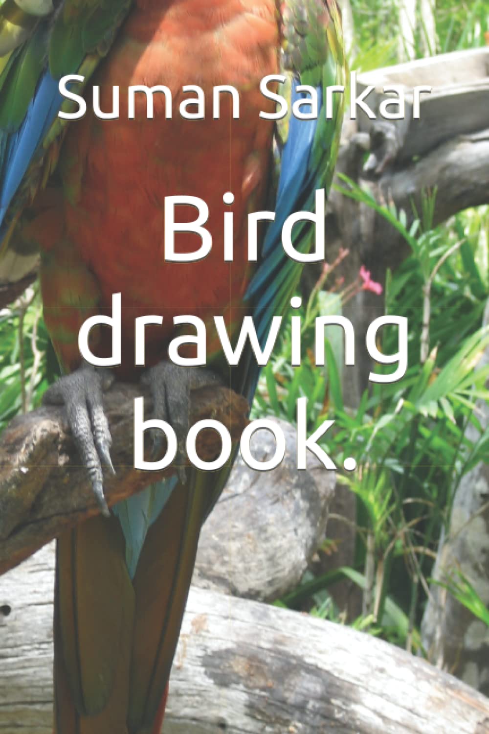 Bird drawing book.