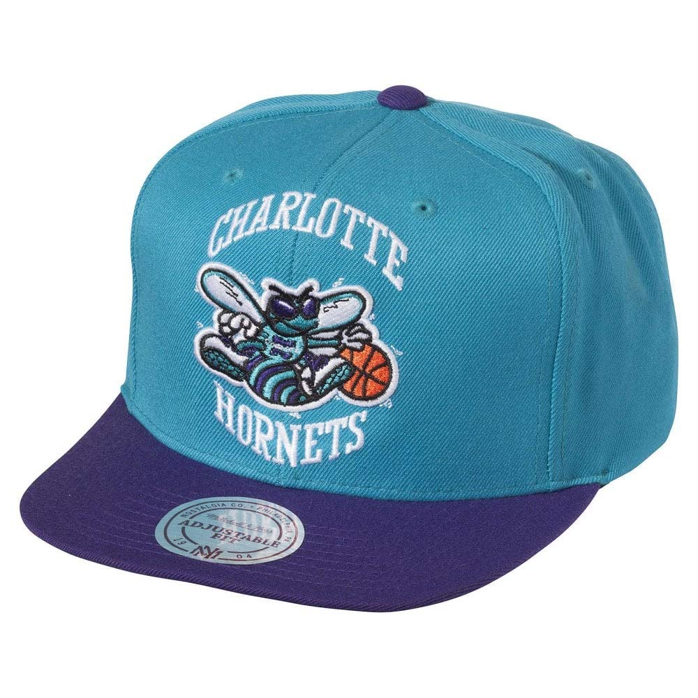 Mitchell & Ness Blue & Purple Nba Charlotte Hornets Xl Logo 2 Tone Snapback