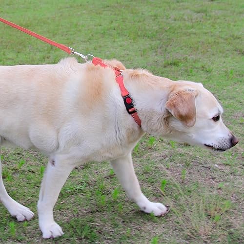Miniatura 4 de Joytale Collar Martingale para perros, collar reflectante resistente para mayor seguridad, hebilla de liberación rápida, collares de nailon