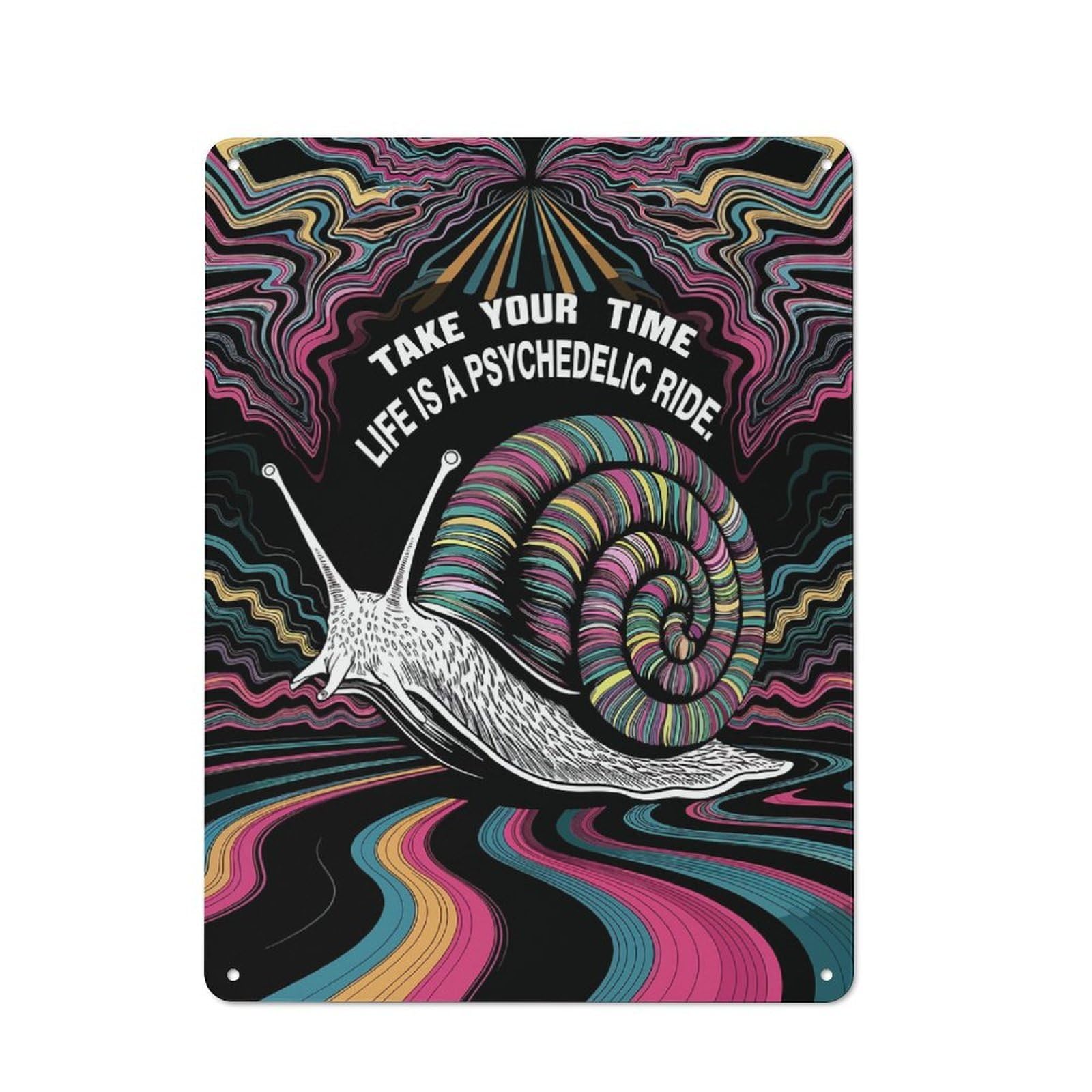 Clean Industrial Snail Ride Decorative Metal Plaque 40x30cm, Loft Wall Plaque for Modern Home, Workshop, Office Or Cafe