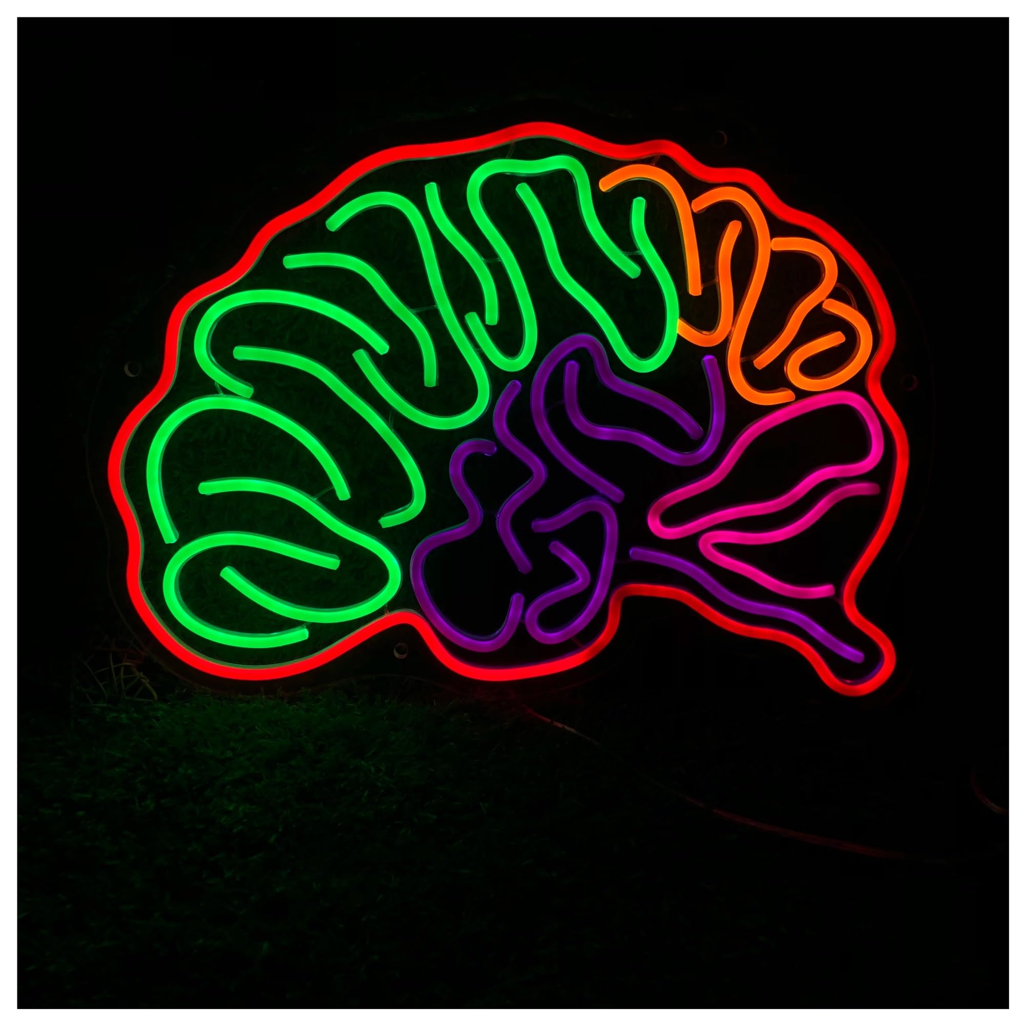 Xenite A Hanging Rt Neon Signs Brain Neon Sign Organ Light Dimmable For Game Room Office Bedroom Home Wall Decor 50Cm(A)