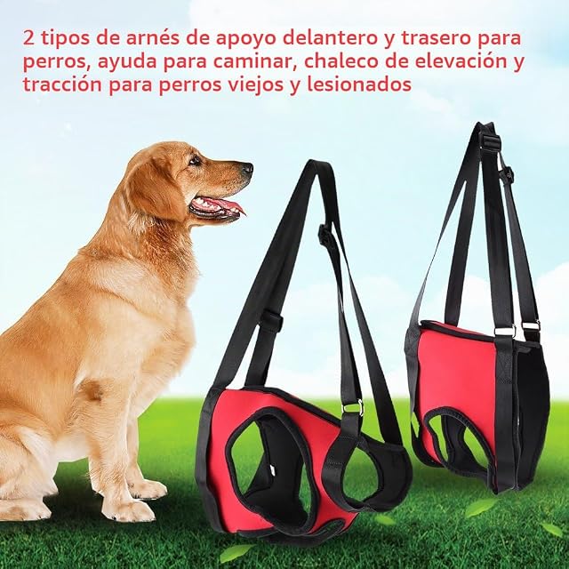 Foto 8 de 8 de GLOGLOW Arnés de Soporte Delantero y Trasero para Perro, de 2 Tipos, Reutilizable, Ayuda para Caminar